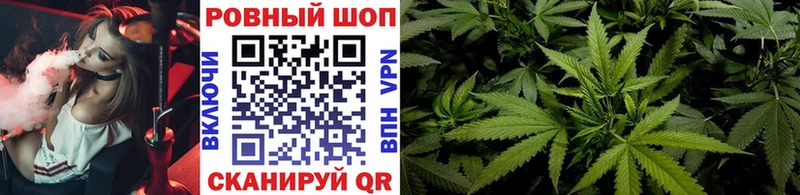 Где можно купить наркотики Михайловск Гашиш  Альфа ПВП  Cocaine  МЕФ  Марихуана 