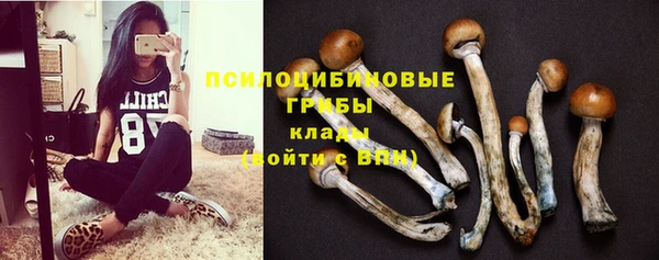 ешки Покровск