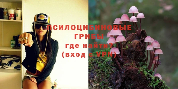 PSILOCYBIN Армянск