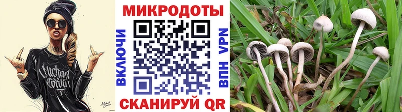 что такое   Михайловск  кракен вход  Псилоцибиновые грибы MAGIC MUSHROOMS 
