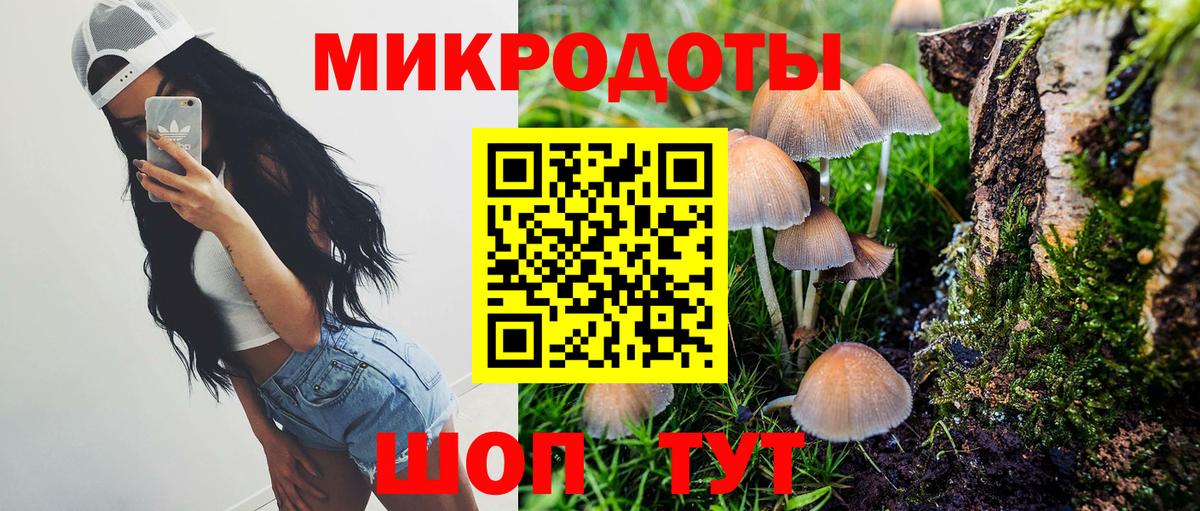 Галлюциногенные грибы Psilocybe Михайловск