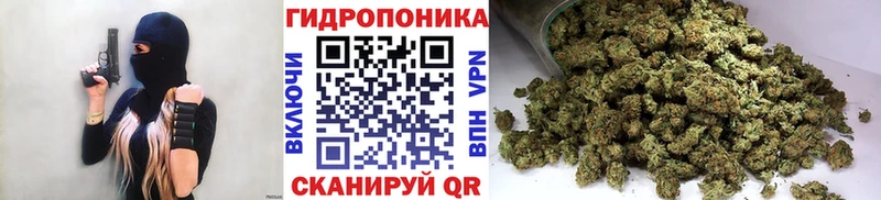MEGA ссылка  Михайловск  Бошки марихуана сатива 